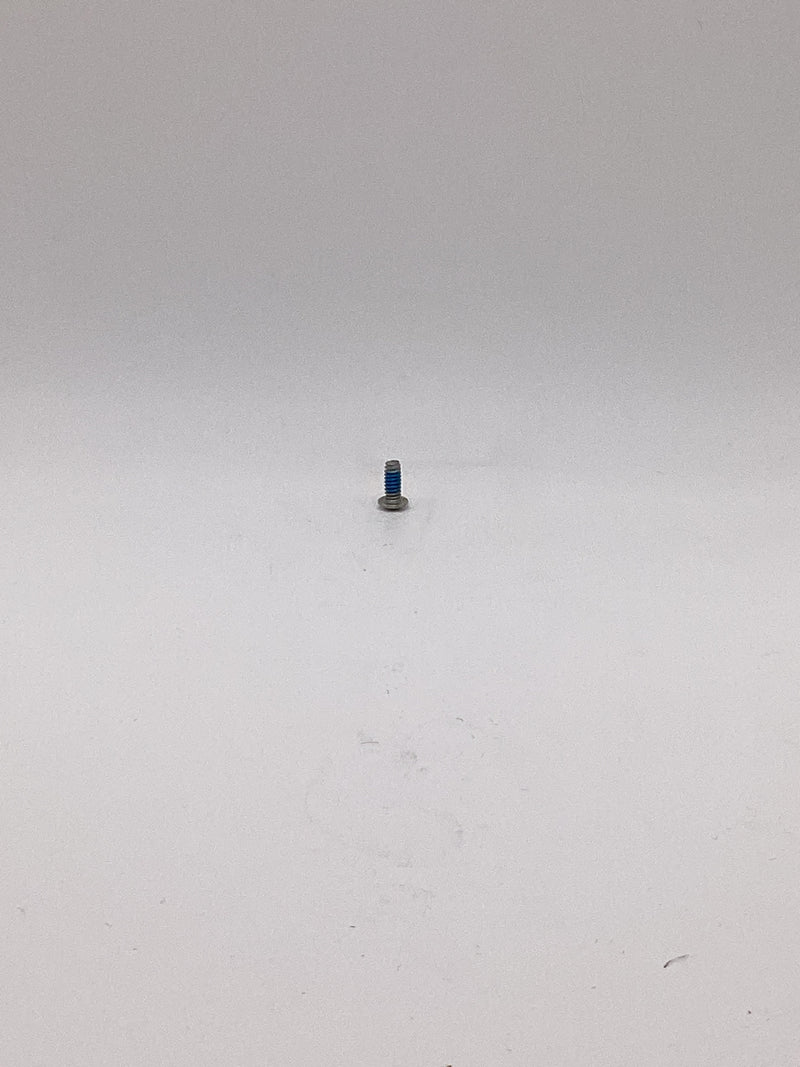 Oster Hinge Screw, Part # 041664