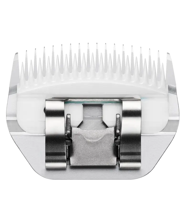 Coarse Blending Blade