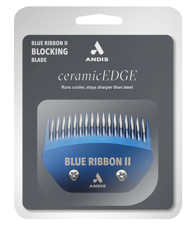 Blue Ribbon Ceramic 62140