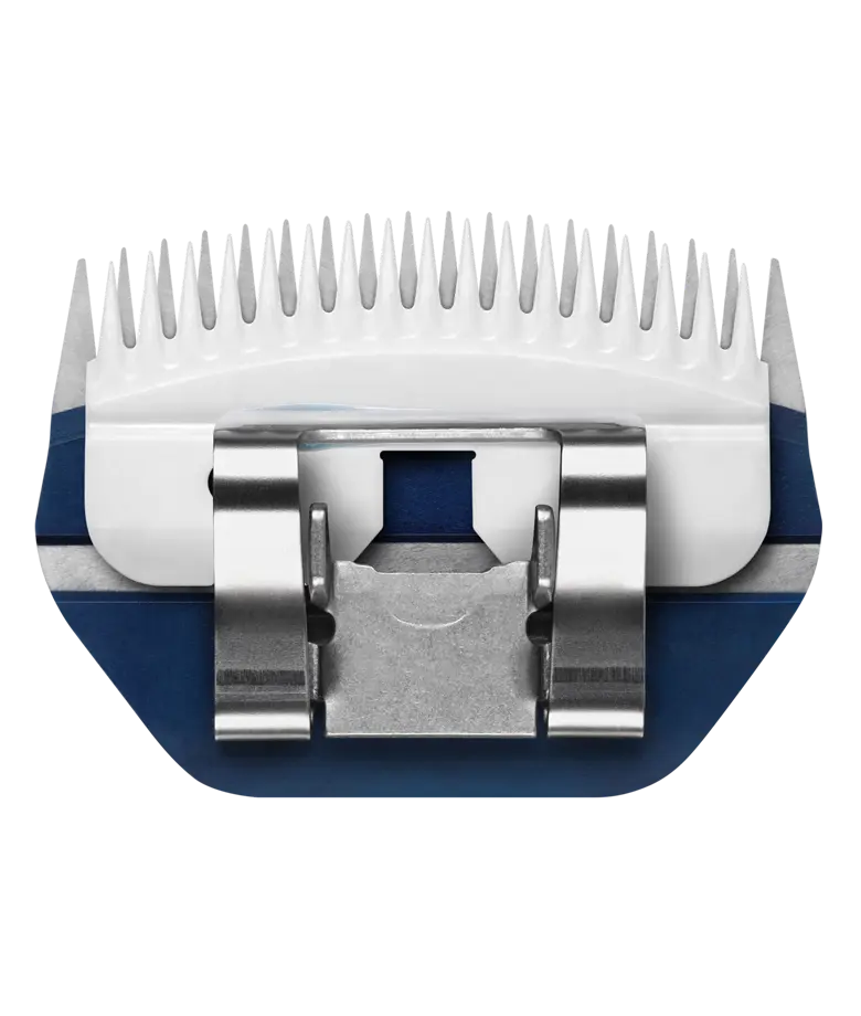 Blue Ribbon Ceramic 62140