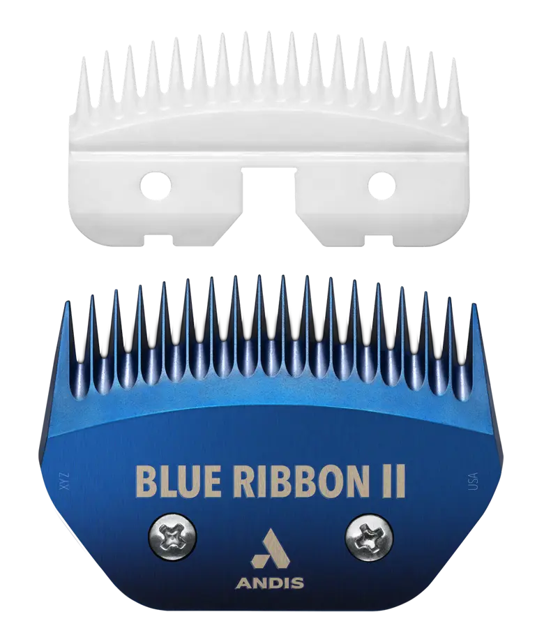 Blue Ribbon Ceramic 62140