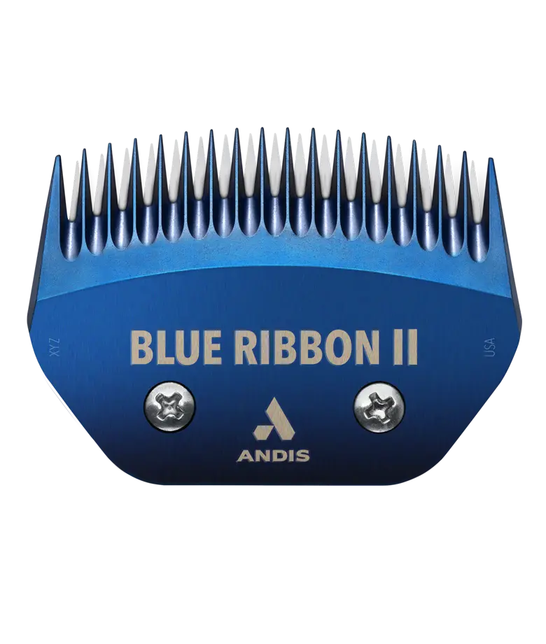 Blue Ribbon Ceramic 62140