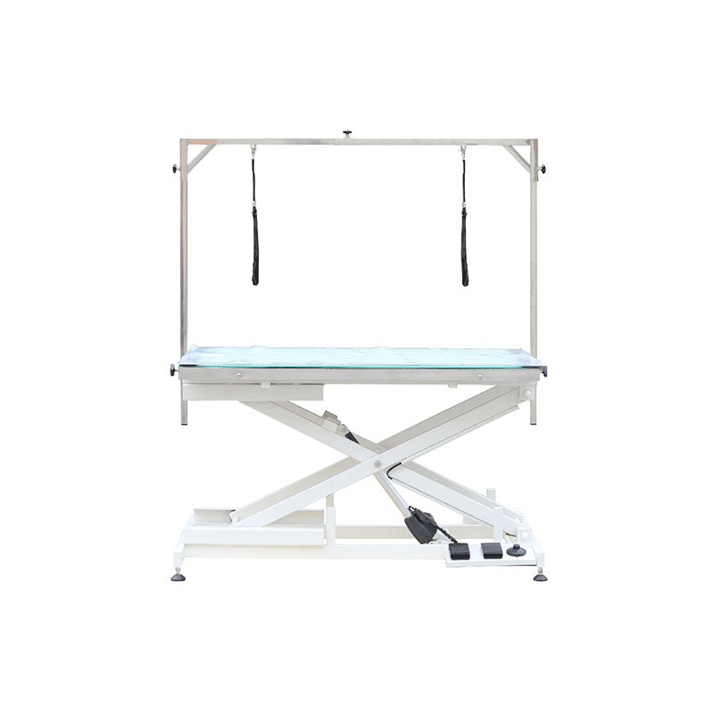 FT-829 Grooming Table with LED Light
