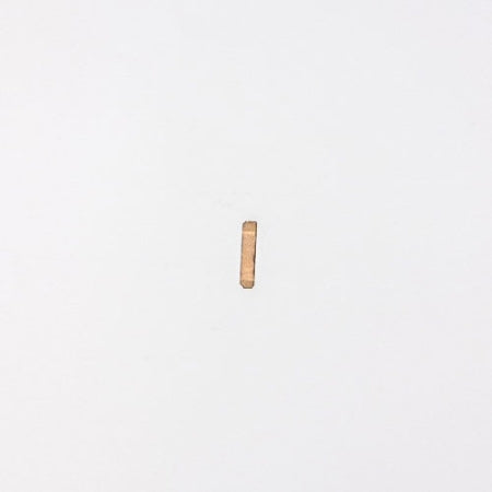 Oster Fast Feed Spring, Part # 045555